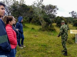 Grupo de energía de bogotá